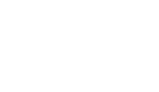 Förderpartner DNS GROUP