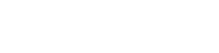 Förderpartner KAEMI