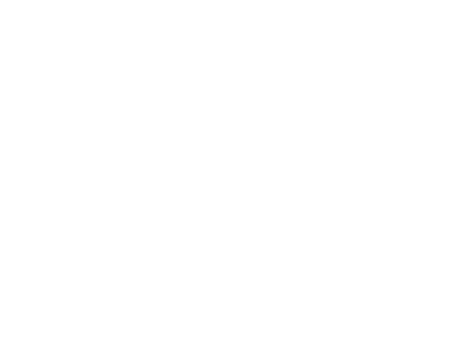 Förderpartner Saphira Secturity