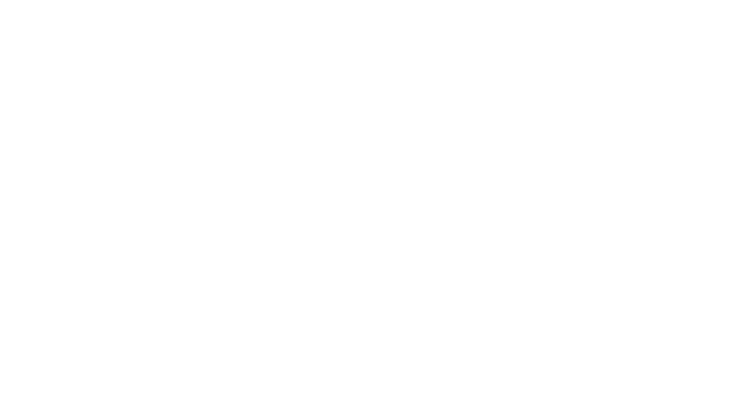 PROLAN Datensysteme